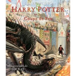 GALLIMARD-JEUNESSE Harry Potter (roman illustré) tome 4 - Harry Potter et la coupe de feu
