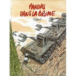 Drugstore pandas dans la brume ; dans les forêts de bambou
