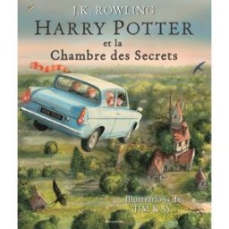 GALLIMARD-JEUNESSE Harry Potter (roman illustré) tome 2 - Harry Potter et la chambre des secrets