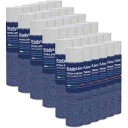 Kit de 36 aérosols de peinture extra forte BradyLine