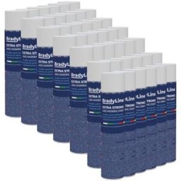 Kit de 42 aérosols de peinture extra forte BradyLine