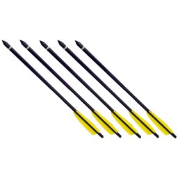 Lot 5 flèches traits aluminium 43,5cm noir arbalète
