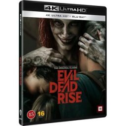 Dvd Dvd Evil Dead Rise Multicolor One Size unisex