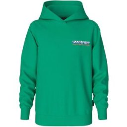 Napapijri Sweat à Capuche B-fuji Green Parakeet 14 Années Garçon,Fille