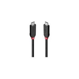 Lindy Black Line - Cable USB de type-C - 24 pin USB-C pour 24 pin USB-C - 2 m