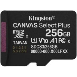 Kingston Carte Sd Microsd Csp G3 150r 256gb Black One Size unisex