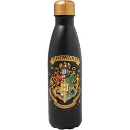 Erik Editores Bouteille Harry Potter Hogwarts 500ml Hot & Cold Multicolor 549 One Size unisex