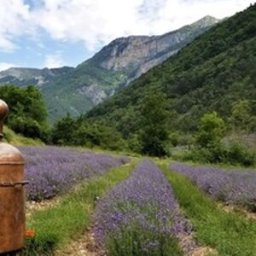 Cap Adrénaline Atelier de distillation au sein d'une distillerie de lavande - Massif du Vercors