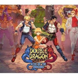 Kinguin Double Dragon Gaiden: Rise Of The Dragons Steam Account