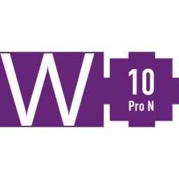 Kinguin Windows 10 Professional N OEM Key
