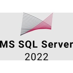 Kinguin MS SQL Server 2022 EU CD Key (5 Users)