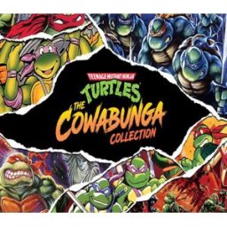 Kinguin Teenage Mutant Ninja Turtles: The Cowabunga Collection XBOX One / Xbox Series X S CD Key