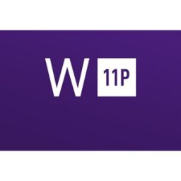 Kinguin Windows 11 Professional N Retail Key
