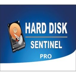 Kinguin Hard Disk Sentinel Professional