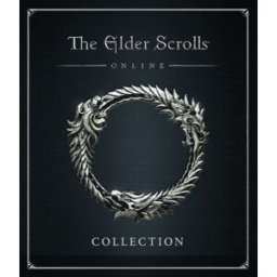 Kinguin The Elder Scrolls Online Collection: Necrom Steam CD Key