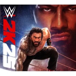 Kinguin WWE 2K25 PC Steam Altergift