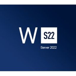 Kinguin Windows Server 2022 CD Key
