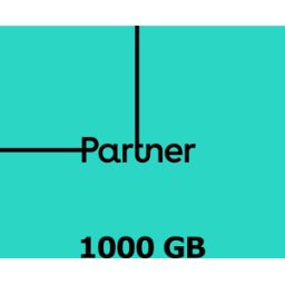 Kinguin Partner 1000 GB Data Mobile Top-up IL