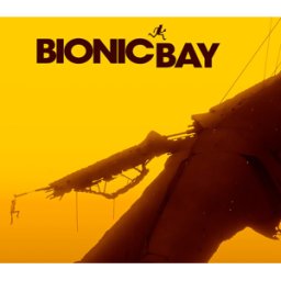 Kinguin Bionic Bay PC Steam Account