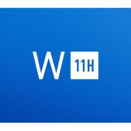 Kinguin Windows 11 Home Retail Key