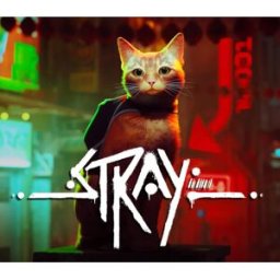 Kinguin Stray AR XBOX One / Xbox Series X S / Windows 10 CD Key