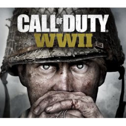 Kinguin Call of Duty: WWII EU PC Windows 10 CD Key
