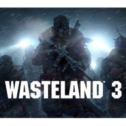 Kinguin Wasteland 3 PC Windows CD Key