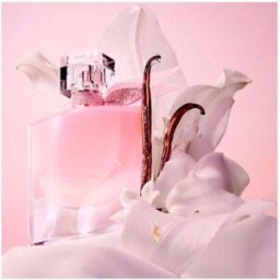 Lancôme La Vie Est Belle Vanille Nude - Eau de parfum