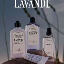 Crème Mains Lavande - L'Occitane en Provence