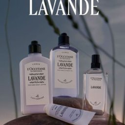 Gel Douche parfumé Lavande - L'Occitane en Provence