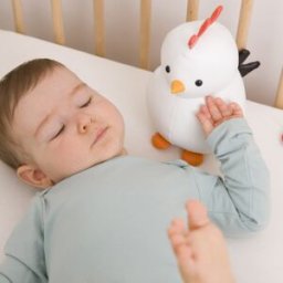 Little Big Friends Paulette la Poule Les Animaux Musicaux