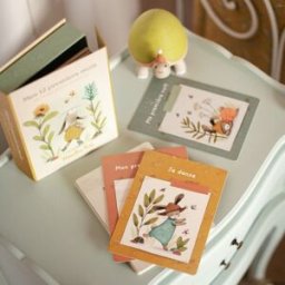 Moulin Roty Cartes étapes Mes 12 premiers mois Trois petits lapins (30 cartes)
