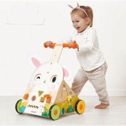 Janod Chariot de marche multi-activités Lapin Ferme
