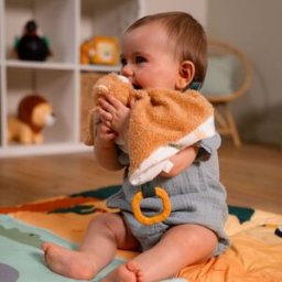 Little Big Friends Doudou Tim le Tigre
