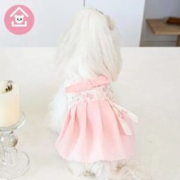 INF Hanbok Coréen pour Animaux - Tenue Confortable et Élégante pour Chiens et Chats XL Rose