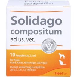 Heel Solidago compositum vet. Ampoules (10 pc)