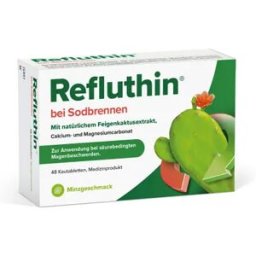 Dr. Schwabe Refluthin tablets 48 pcs.