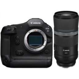 Canon EOS R1 + RF 600mm f11 IS STM