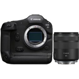 Canon EOS R1 + RF 85mm f2 MACRO IS STM