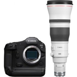 Canon EOS R1 + RF 600mm f4 L IS USM
