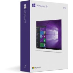 Microsoft Windows 10 Professional