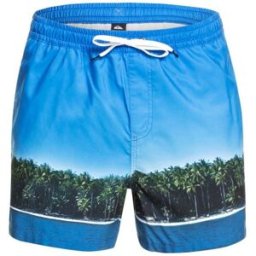 Short de bain QUIKSILVER Jetlag Dreams Volley 15 (Blithe) Homme S