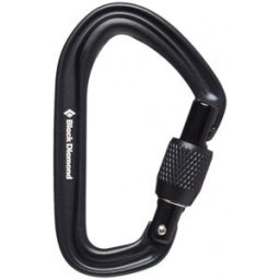 Black Diamond Mousqueton DIAMOND Hotforge Screwgate Carabiner (Noir) Taille unique