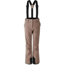 Pantalon de ski DARE2B Women's Diminish Waterproof Ski Pants (Pine Bark) femme 42 (14 UK)