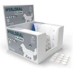 Pharmadiet Supplément Pour Chien Hyaloral Plasma 360 Unités Grey One Size