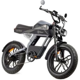 Youin Vélo électrique Pliant Las Vegas