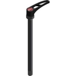 Dt Swiss Axe Traversant Rws 10 Mtb Plug-in