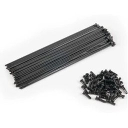 Éclat Kit De Rayons Et Mamelons Pg 40 Unités