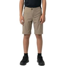 Scott Shorts Avec Chamois Vertic