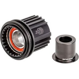 Dt Swiss Billes De Roulement Shimano Micro Spline Ratchet Kit